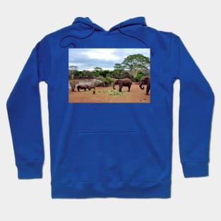 African Elephant White Rhinoceros South Africa Hoodie